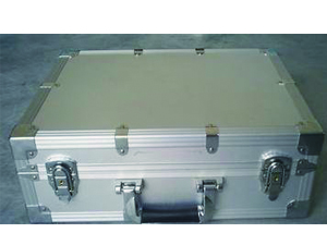 ���Ͻ���